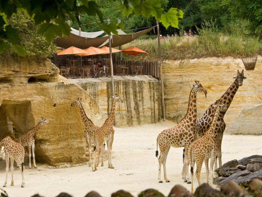 BioParc Doué-la-Fontaine