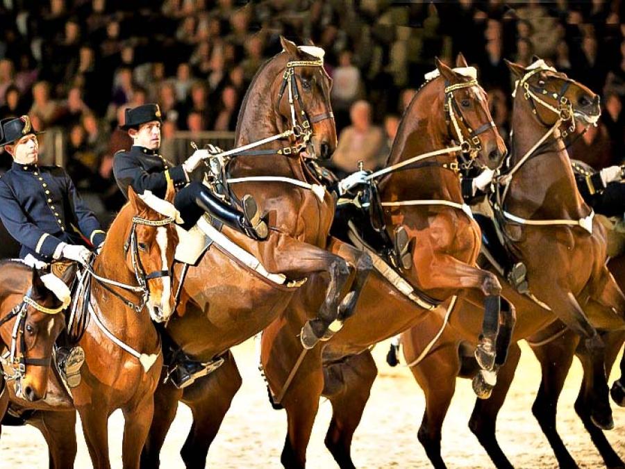 Le Cadre Noir de Saumur